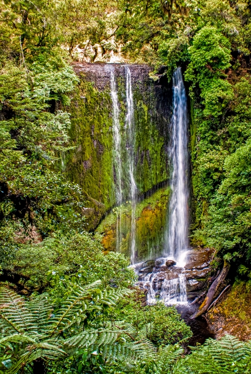 Korokoro Falls, Te Urewera National Park, New Zealand, Copyright Chris Gregory 2013