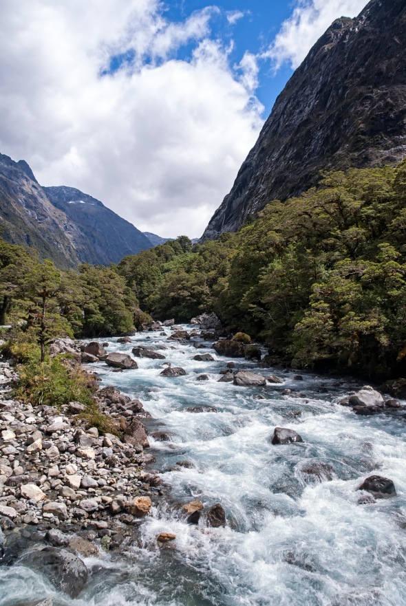 Hollyford River, Fiordland, New Zealand, Copyright Chris Gregory 2013